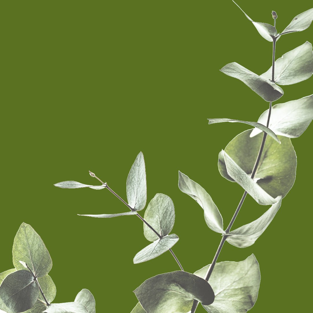 Have You Been Greenwashed? - Good Spark 
