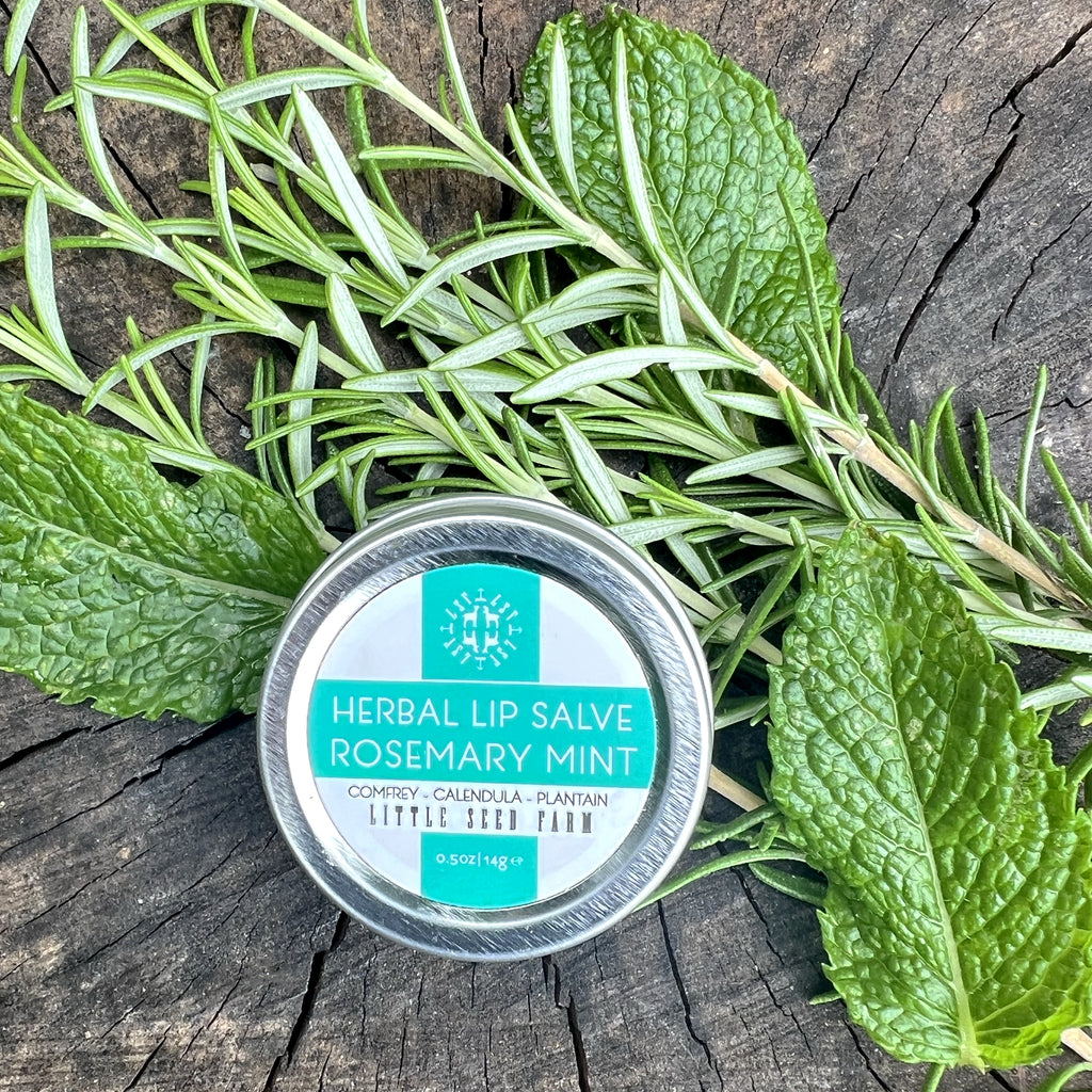 Herbal Lip Salve